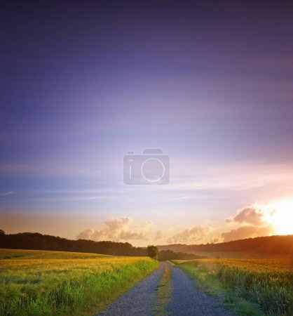 Photo for Road, landscape and field with sunset in countryside for travel, adventure or roadtrip with mockup in nature. Street, path and location in Amsterdam with journey, roadway and environment for tourism. - Royalty Free Image
