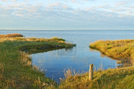 Téléchargez les photos : Lac, champ et paysage avec ciel à l'horizon, herbe et environnement avec soleil dans le Jutland. Eau, mer ou barrage avec nuages, durabilité et écologie pour la terre en été à la campagne au Danemark. - en image libre de droit