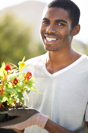 Téléchargez les photos : Portrait, sourire et planter des fleurs avec l'homme noir dans le jardin de la maison pour l'aménagement paysager d'été. Visage, nature et jardinage avec jeune heureux en plein air dans la cour arrière pour la croissance ou la culture verte. - en image libre de droit