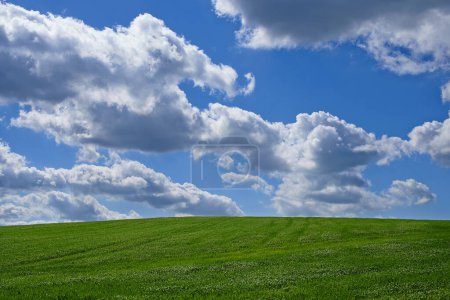 Téléchargez les photos : Prairie, paysage et ciel bleu avec des nuages pour l'environnement, la durabilité et la perspective en été. Beauté, nature et champ d'herbe verte pour l'environnement, la croissance et l'horizon de la campagne. - en image libre de droit