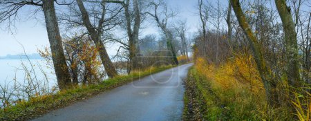 Photo for Road, landscape and trees by ocean in countryside for travel, adventure and roadtrip with autumn in nature. Street, pathway and location in Amsterdam with tarmac, roadway or environment for direction. - Royalty Free Image