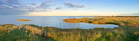 Téléchargez les photos : Lac, herbe et nature avec paysage, horizon ou ciel dans un environnement ensoleillé dans le Jutland. Eau, mer ou champ nuageux, durabilité ou écologie pour la terre en été à la campagne au Danemark. - en image libre de droit
