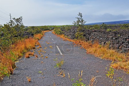 Photo for Road, landscape and volcano street in nature with lava rocks, plants and grass for travel, adventure and roadtrip. Dead end, deserted path and location in Hawaii with blue sky, roadway or environment. - Royalty Free Image