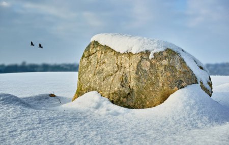 Téléchargez les photos : Roche, nature et neige avec paysage ou environnement, temps froid et ciel bleu avec voyage au Danemark. Contexte naturel, tourisme avec emplacement ou destination, sol glacé et plein air gelé. - en image libre de droit