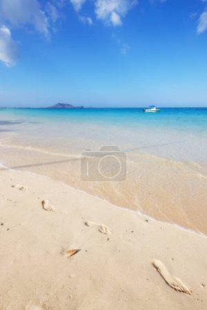 Photo for Ocean, Bali and blue sky for holiday, sand and rocks in shore for peace and tranquility. Seaside, waves and summer for vacation, location and beach for clear water on travel and tropical trip. - Royalty Free Image