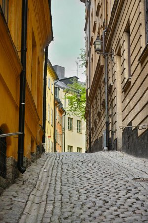 Photo for Travel, stone and alley in vintage town with history, culture or holiday destination in Sweden. Vacation, old buildings and antique street in Stockholm with cobble road architecture in ancient city - Royalty Free Image