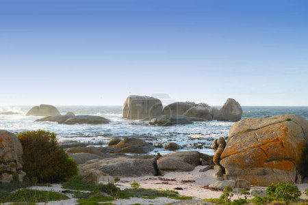 Photo for Nature, landscape and rocks by ocean in South Africa for travel destination, holiday and vacation. Natural background, summer and waves, sea and boulders for scenic view, environment and location. - Royalty Free Image