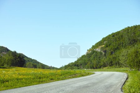 Photo for Hill, road trip and natural landscape with field, holiday or green scenery in countryside. Nature, relax and highway for journey, vacation or outdoor adventure with blue sky, trees and mountain grass. - Royalty Free Image