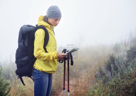 Photo for Woman, hiker and reading map on trail in nature, fog and guide for direction on mountain path. Sports gear in bag for supplies, adventure or fitness with natural winter for health in winter peace. - Royalty Free Image
