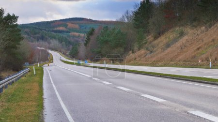 Photo for Mountain, road trip and forest landscape for travel, holiday and green scenery with trees in Denmark. Nature, cloudy sky and highway for journey, vacation and outdoor adventure in natural environment. - Royalty Free Image