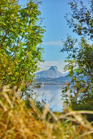 Foto de Árboles, hojas y vista del lago con la montaña, la naturaleza y el paisaje de Noruega entorno para viajar, campamento y turismo. Verde, follaje con agua y cielo azul, fondo natural en bosque o bosques. - Imagen libre de derechos