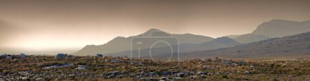 Photo for Mountain, landscape and banner at sunset with rock, texture or summer countryside in Africa. Morning, outdoor and journey to hill on horizon with bush, grass and environment in nature with stone. - Royalty Free Image