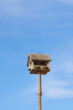 Blue sky, wood and birdhouse or feeder hanging on pole, closeup and box for food of animal. Summer, outdoor and trunk of tree for home, seed and eating of Woodpecker in park of Australia in nature.
