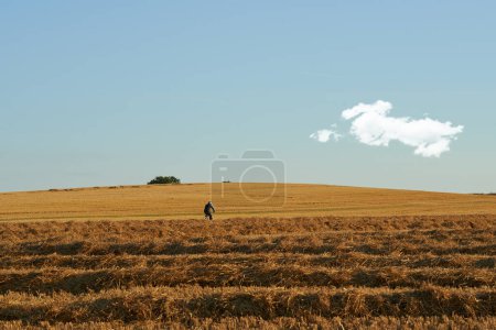 Photo for Landscape, person and bicycle in field in nature with blue sky for cycling, exercise and fitness in countryside. Meadow, grassland and horizon with clouds, grass and natural environment for journey. - Royalty Free Image