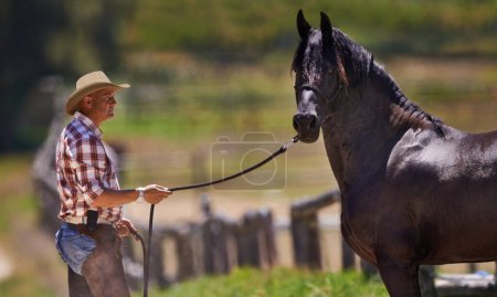 Photo for Cowboy, horse and reins on farm in nature and equestrian park in western ranch in country. Strong, stallion or healthy animal of american quarter thoroughbred, outdoor and calm with trainer in texas. - Royalty Free Image