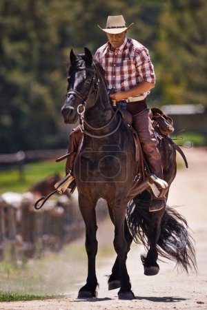 Téléchargez les photos : Cowboy, cheval et équitation sur ranch, équitation et balade en selle sur animal. Étalon, galop ou trot à la campagne et en plein air avec une personne âgée masculine, ferme et écurie au Texas pour l'exercice pour jument. - en image libre de droit