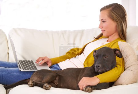 Photo for Woman, typing and laptop by dog on couch, sofa and relax at home with technology, internet and connection for online blog. Female person, pet and computer in living room, house and apartment. - Royalty Free Image