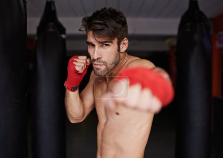 Photo for Boxer, gym and portrait for fitness, punch and wellness in strong training for confidence to fight. Man, sport and boxing athlete in sports, challenge and shirtless ready to exercise for mma. - Royalty Free Image