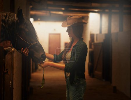 Photo for Cowgirl, smile and woman with horse at stable or barn in Texas for recreation. Western, animal and happy person at a ranch with pet, friendship and stallion for hobby with care at equestrian farm. - Royalty Free Image