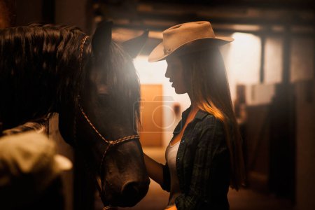 Téléchargez les photos : Cowgirl, amis et femme avec cheval à la grange ou écurie au Texas pour les loisirs. Western, femme et animal au ranch avec animal de compagnie ou étalon pour passe-temps avec soin pour le bétail à la ferme équestre. - en image libre de droit