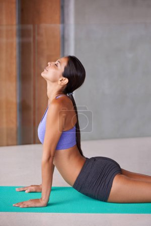 Photo for Calm woman, yoga and stretching with mat for exercise, workout or pilates in cobra pose at home. Young female person or yogi in body warm up or training for awareness, health and wellness or fitness. - Royalty Free Image