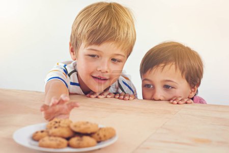 Photo for Kids, boys and smile for cookies in home with stealing, peeking and childhood fun in at dining room table. Siblings, children and happy for biscuits, snack and baked goods in kitchen of apartment. - Royalty Free Image