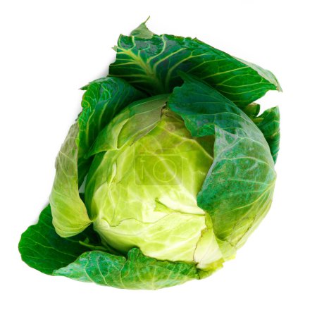 Photo for Studio, leaf and green cabbage vegetable for health, nutrition and freshness for eating or food. Fresh produce, consumables and organic meal for wellbeing, vitamins and antioxidants with protein. - Royalty Free Image