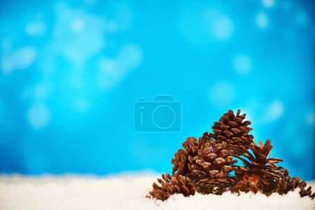 Photo for Studio, christmas and decoration with snow, pinecone and ice for holiday celebration. Ornament, plant and winter for frozen, symbol or tradition for vacation break and season cheer on blue background. - Royalty Free Image