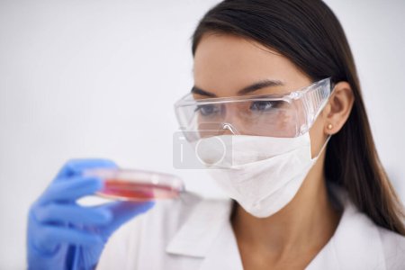 Photo for Science, mask and woman with petri dish for medical research, experiment for blood analysis in laboratory. Scientist, glasses and professional with culture plate, study and inspection for dna test. - Royalty Free Image