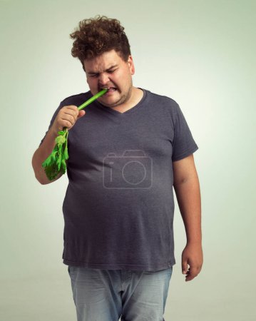 Photo for Obesity, weight gain and humor for man in studio with celery for health eating, nutrition and diet. Overweight person with vegetable in mouth and cry for hungry, and food with vitamin for comic. - Royalty Free Image