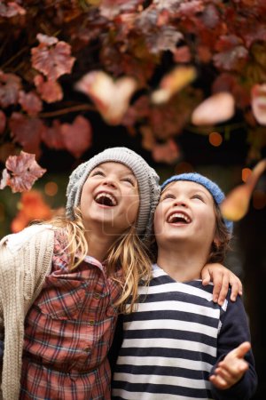 Téléchargez les photos : Joyeux, fête et enfants avec des feuilles d'automne, liberté ou plaisir dans un parc pour coller, jeux ou jouer. Nature, amour et enfants excités pour les confettis d'arbres dans les bois pour le camping, l'apprentissage ou les voyages. - en image libre de droit