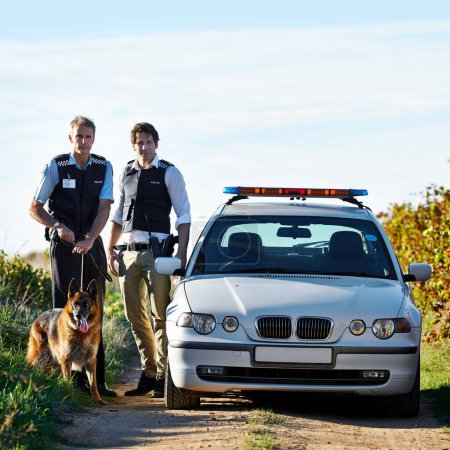 Photo for Policeman, dog and car in field to search at crime scene or robbery for safety, law enforcement and evidence. Detective, investigation and uniform in outdoor working at countryside with gravel road. - Royalty Free Image