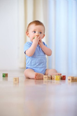 Photo for Baby, wooden blocks and playing with toys for early childhood development or youth at home. Little boy, cute toddler or child on floor with shape or cube for building, learning or skills at the house. - Royalty Free Image