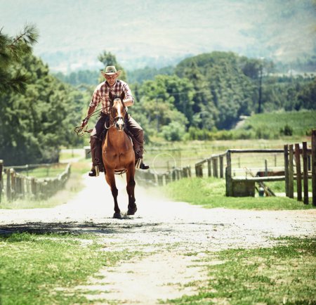 Téléchargez les photos : Cowboy, rodéo et homme à cheval avec selle sur le terrain à la campagne pour l'équitation ou l'entraînement. Nature, été et ouest avec cavalier mature sur animal au ranch en plein air dans les zones rurales du Texas. - en image libre de droit