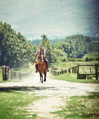 Foto de Cowboy, silla de montar y hombre a caballo con velocidad en el campo en el campo para equitación o entrenamiento. Naturaleza, verano y correr con jinete maduro a caballo en animales en rancho al aire libre en Texas rural. - Imagen libre de derechos