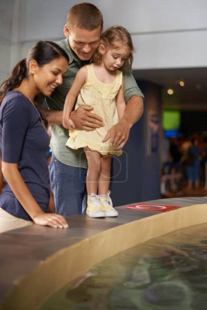 Photo for Happy family, little girl and aquarium with water for sightseeing, travel or tour at the zoo. Mother, father and child or kid looking at sea creature, fish or explore exhibit for bonding or holiday. - Royalty Free Image