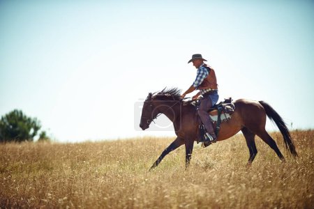 Foto de Vaquero, cielo azul y hombre a caballo con silla de montar en el campo en el campo para la equitación o el entrenamiento. Naturaleza, verano y aire fresco con persona o jinete a caballo en animales al aire libre en Texas rural. - Imagen libre de derechos