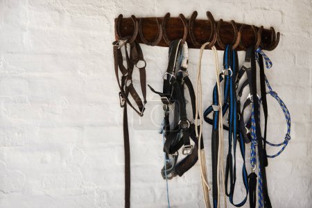 Photo for Riding bridle, tack and horseshoe in wall leather, rope and metal or steel on farm. Countryside, equestrian and wooden with rein for rural, western and horse gear for training or competition. - Royalty Free Image