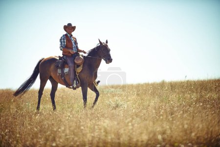 Photo for Man, horse and countryside land as cowboy for adventure riding in Texas meadow for explore farm, exercise or training. Male person, animal and stallion in rural environment on saddle, ranch or hobby. - Royalty Free Image