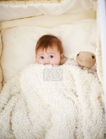 Foto de Bebé, cama y manta con ovejas en casa, arriba y saludable con crecimiento, desarrollo y juego por la mañana. Bebé, niño y recién nacido con muñeca de cordero, juguetes suaves y relajarse en el dormitorio en la casa de la familia. - Imagen libre de derechos