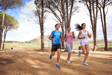 Téléchargez les photos : Fitness, groupe ou amis dans la nature courir pour l'exercice, l'entraînement ou l'entraînement en plein air ensemble. Personnes, coureurs rapides ou athlètes dans un parc pour l'endurance sportive, le bien-être ou le défi cardio dans les bois. - en image libre de droit