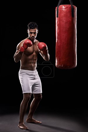 Photo for Portrait, boxing bag and gloves for male boxer, studio and athlete on black background. Dark, training and combat sports or MMA for man model, workout, muscle and impact activity for martial arts. - Royalty Free Image