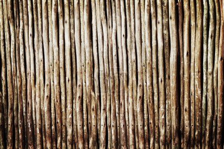 Photo for Wood, log and stick for timber, pattern and lines for texture and bamboo for wallpaper and earth on closeup. Lumber and firewood together for brown, raw and natural for botany, eco and solid. - Royalty Free Image