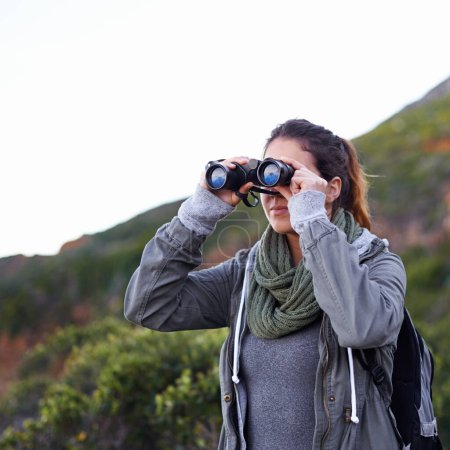 Photo for Woman, hiking and outdoor in nature with binoculars for vision for fitness, location and memory on adventure. Girl, person and trekking in bush, mountains and scenic view on vacation in Cape Town. - Royalty Free Image