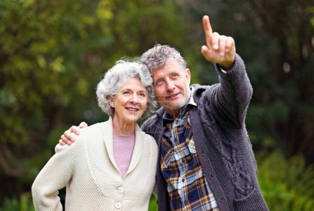 Photo for Retired people, pointing or love to relax in garden by thinking, walking or planning happy holiday. Couple, vision or rest in nature park as conversation, happiness or memory of retirement dreams. - Royalty Free Image