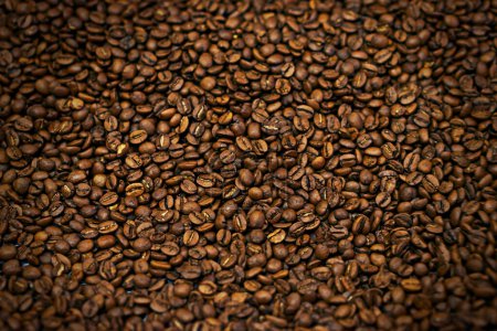 Photo for Coffee beans, closeup and organic with natural source for export, trading or flavor with sustainability. Caffeine, supply chain and manufacturing with zoom, industry or logistics for distribution. - Royalty Free Image