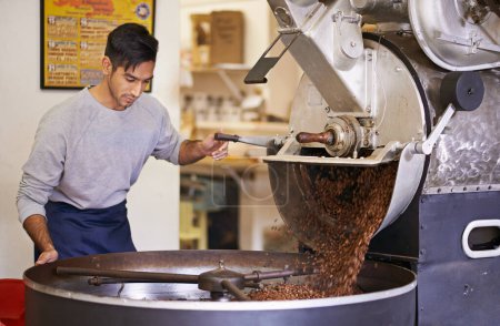 Coffee, beans and man with machine for roasting with blending, production and quality control. Entrepreneur, barista or roaster with small business at cafe, sustainable startup and espresso process.
