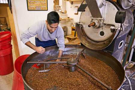 Coffee, quality control and man with machine for roasting with blending, production and small business. Entrepreneur, barista or person with beans at cafe, sustainable startup and espresso process.