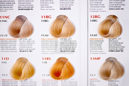 Photo for Hair color, catalog and closeup of swatches at hairdresser for tone, shade and chart for options with information. Display, palette and labels with description for choice, sample or decision at salon. - Royalty Free Image