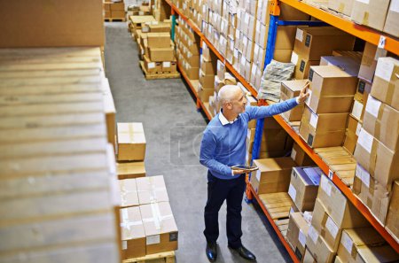 Photo for Tablet, box or top view of man in warehouse for delivery order, storage or stock in factory for website. Printing, mature manager or supply chain inspection for cargo, package or wholesale shipping. - Royalty Free Image